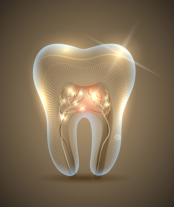 Saving Your Teeth with South Calgary Root Canal Therapy | Shawnessy Smile